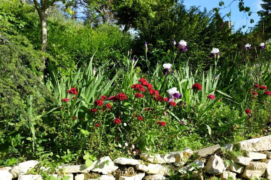 Villa Ca' Dell'Olmo Monteciccardo ภายนอก รูปภาพ